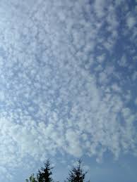 Cirrocumulus Clouds